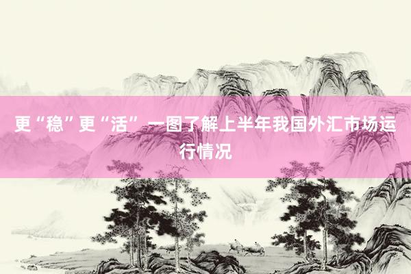 更“稳”更“活” 一图了解上半年我国外汇市场运行情况
