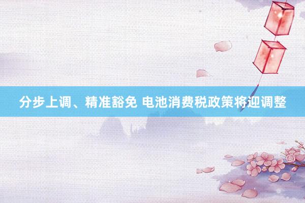 分步上调、精准豁免 电池消费税政策将迎调整